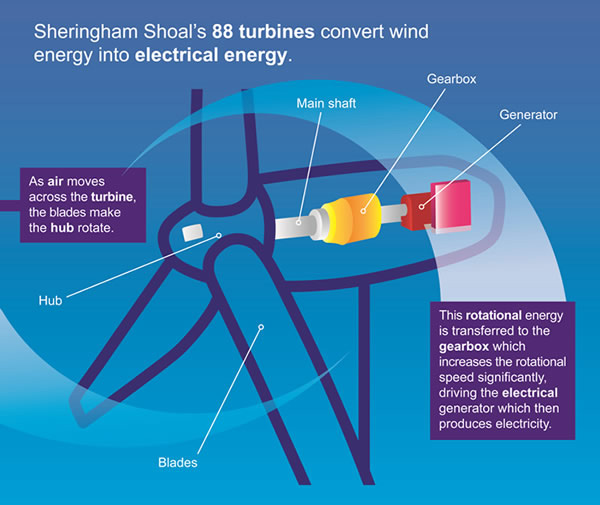 Internal schematic of a wind turbine